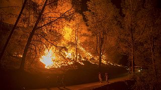 Thousands flee the flames as northern California battles wildfires
