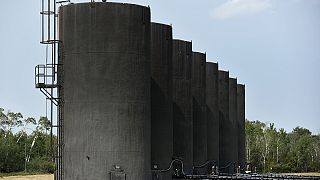 L'Opec alza le stime 2016 della domanda per il suo petrolio