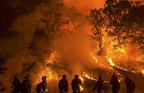 California, 23mila sfollati per incendi. Decretato stato di emergenza