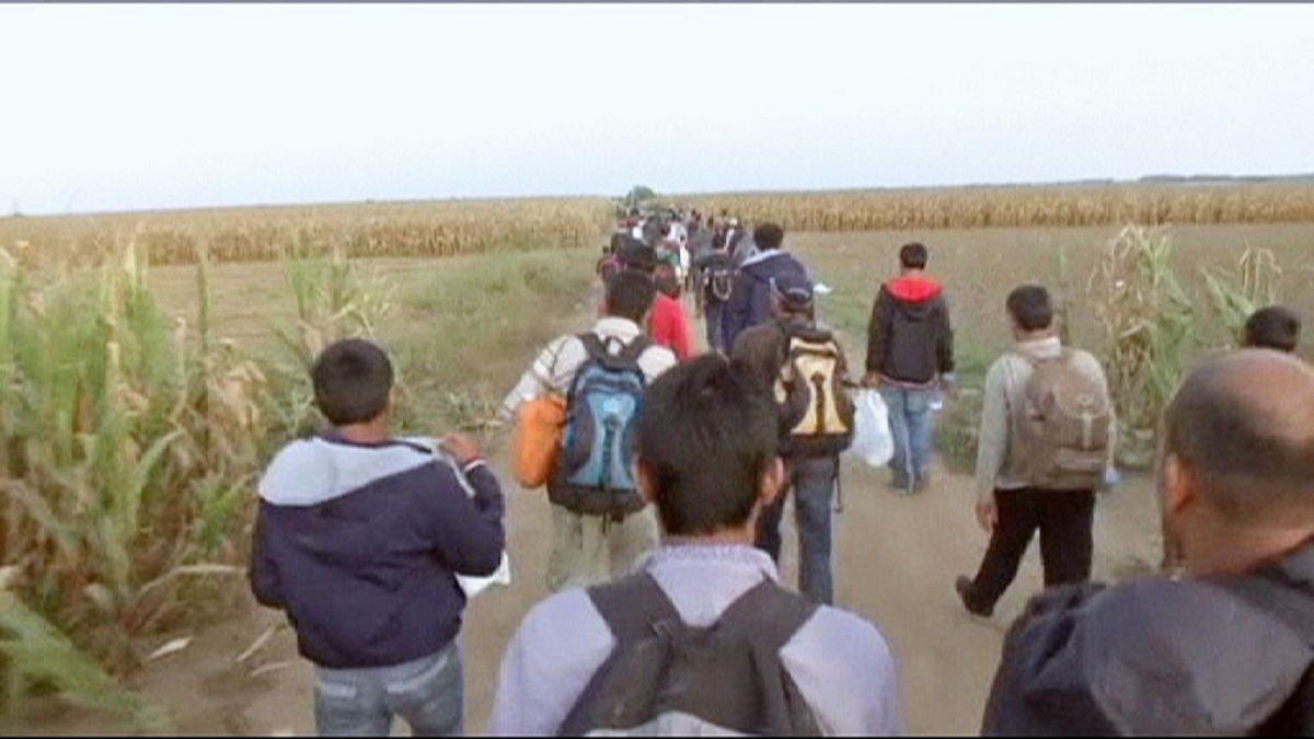 Flüchtlinge drängen nach Kroatien: "Ich gehe nach Deutschland, weil Deutschland gut ist"