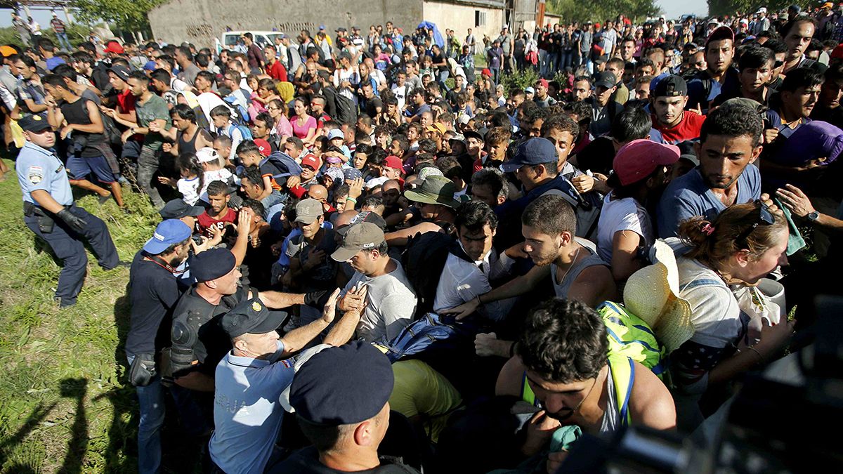 Беженцы прорывают полицейские заслоны на хорватской границе