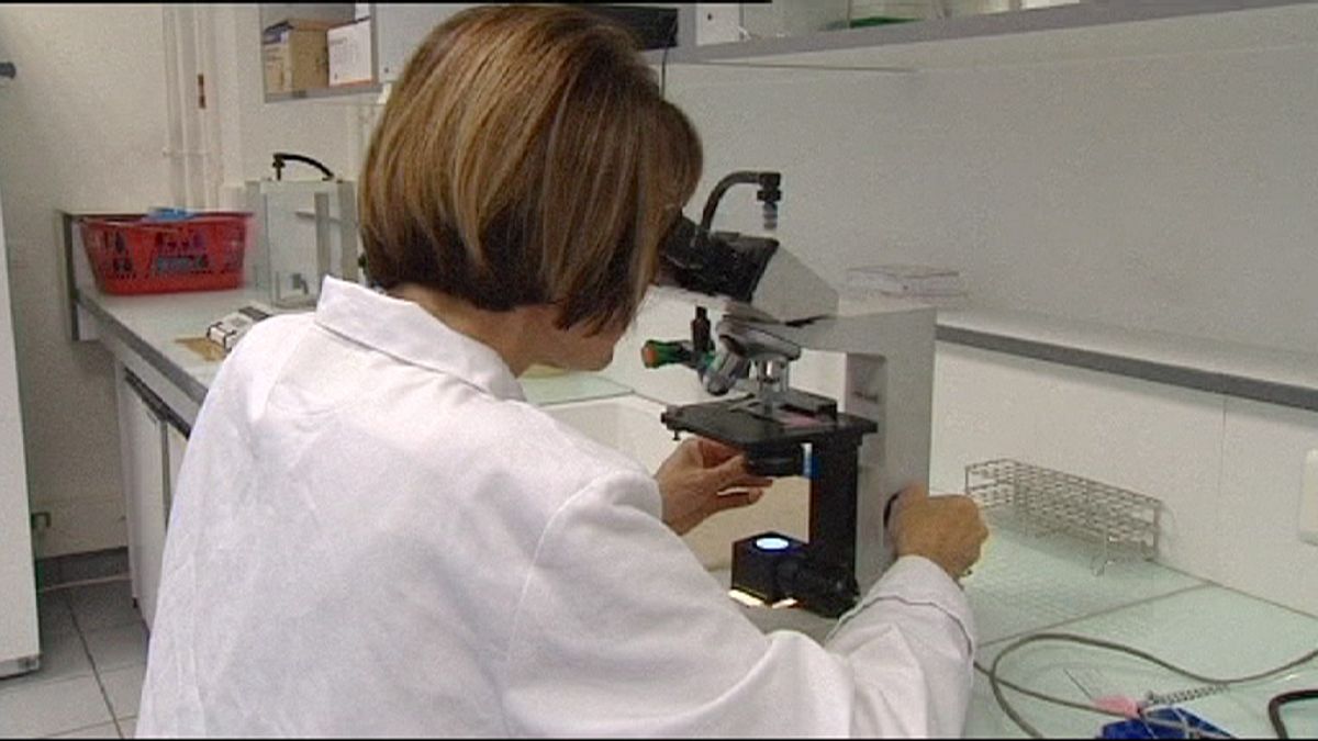 Mesterséges spermiumokat hoztak létre francia kutatók