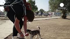 Ο 17χρονος πρόσφυγας που ταξίδεψε από τη Συρία στη Λεσβο με το κουτάβι του