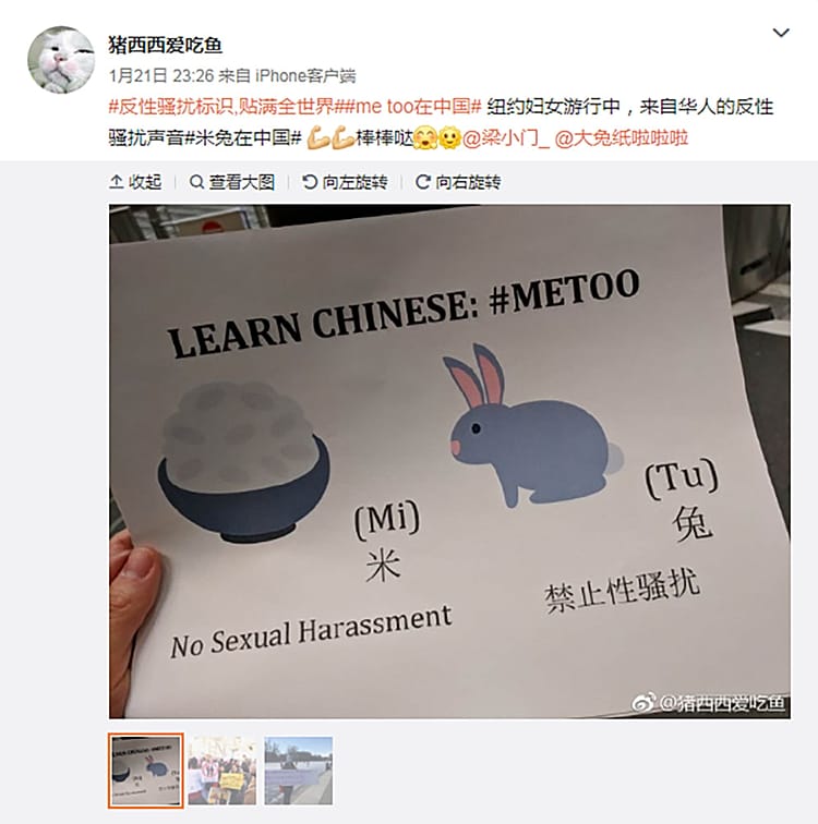 Bleached Ricebunny How #RiceBunny helped Chinese feminists dodge censors targeting #MeToo ...
