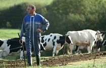 من سيجد حلاً لمأساة المزارعين في أوربا؟