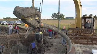 Agricultor dos EUA descobriu mamute quando escavava