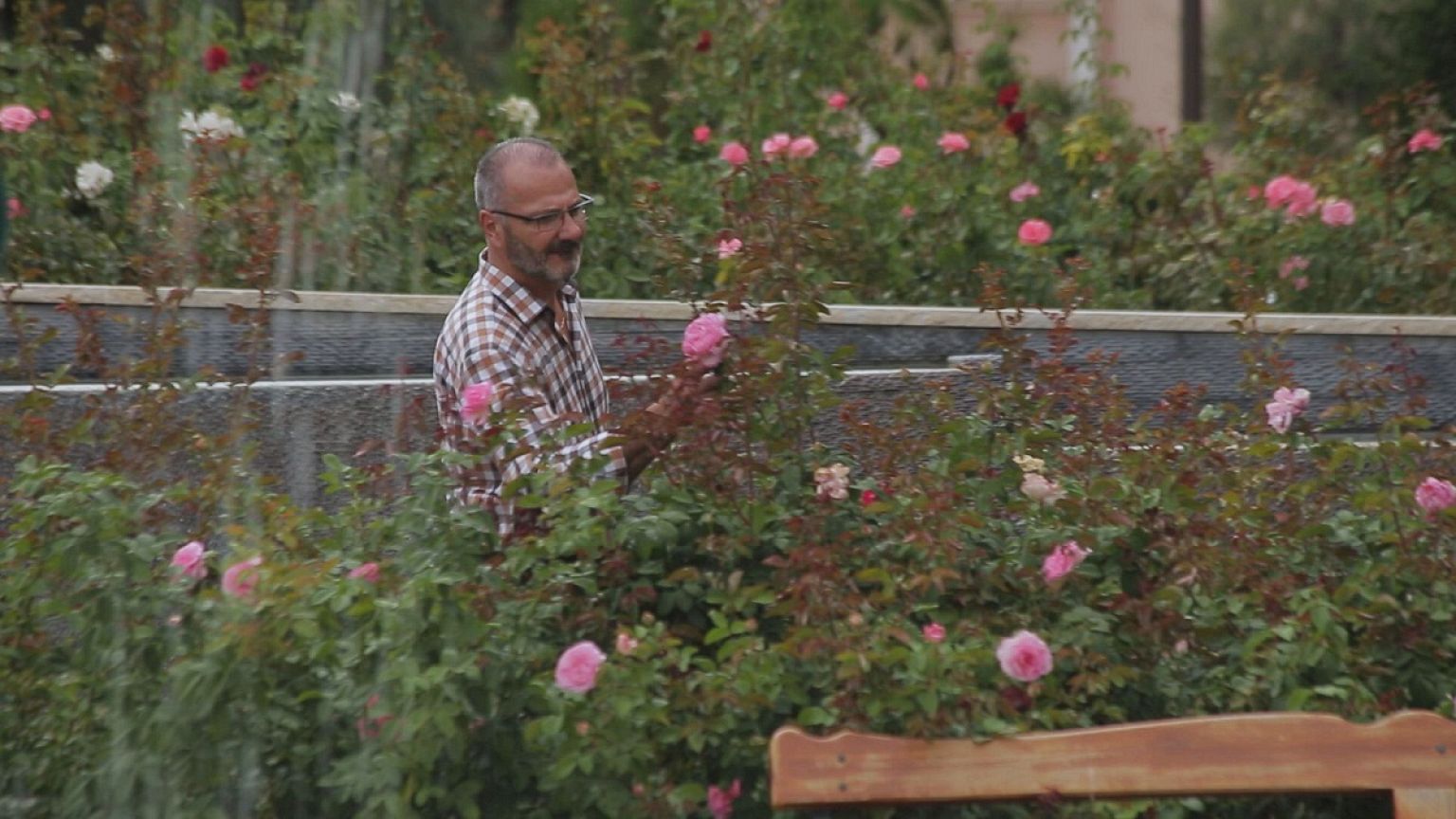 Le nom des roses