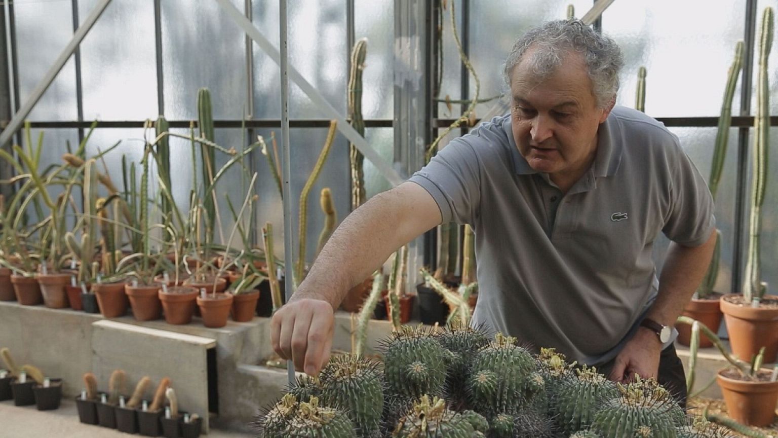 Jean-Marie Solichon : sauver le patrimoine botanique