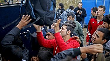 پناهجویان تازه از راه رسیده در مرز صربستان
