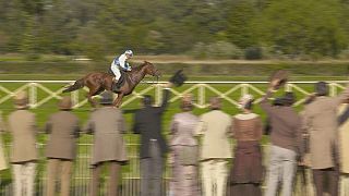 Dünyanın en iyi yarış atı Kincsem 'The Wonder Horse' filmine konu oldu