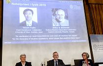 فوز ياباني وكندي بجائزة نوبل للفيزياء لعام 2015