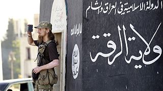 Study sheds new light on ISIL's propaganda power