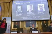 Le prix Nobel de chimie récompense des travaux sur l'ADN