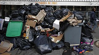 Rubbish lines streets in Paris as refuse collectors strike enters fourth day