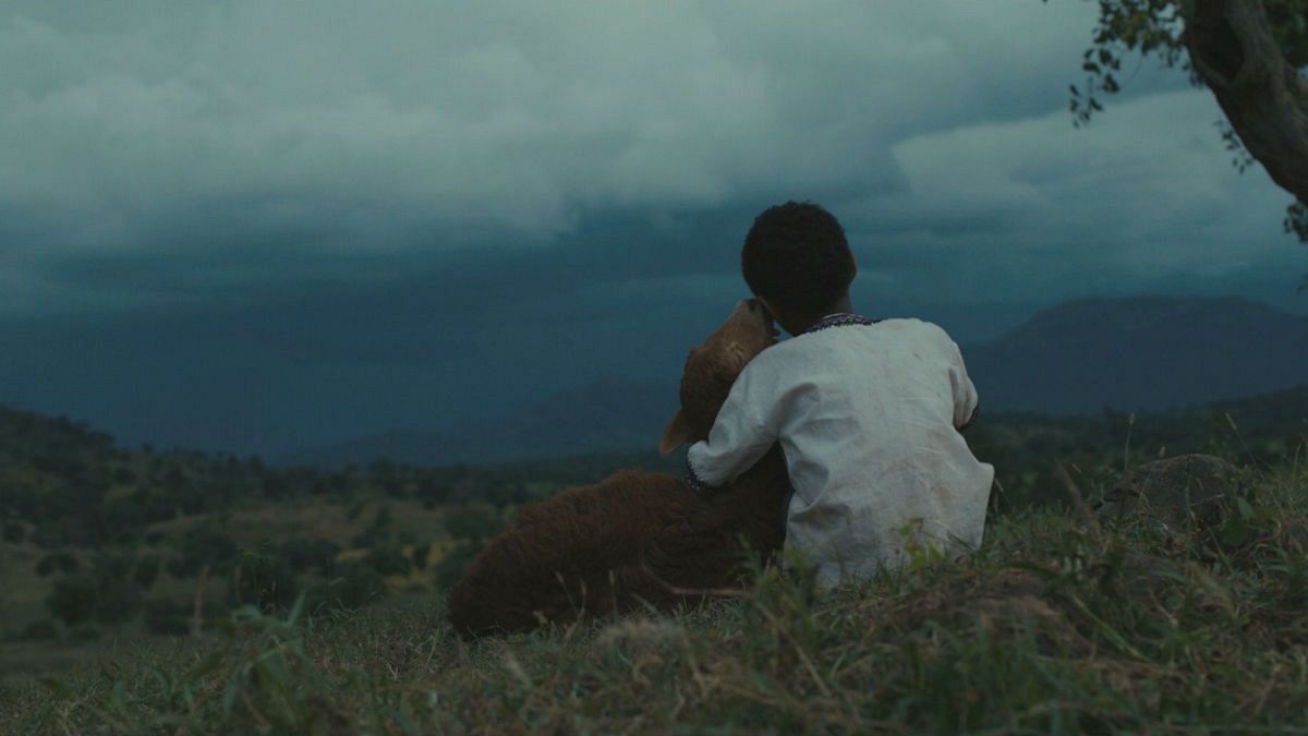 "Lamb", la primera película del joven director etíope Yared Zeleke