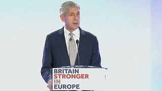 Britische Pro-Europäer starten Kampagne für den Verbleib in der EU