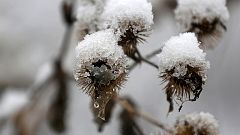 Staunen über den ersten Schnee