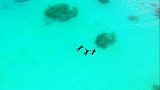 Is this beach for real? Drone captures Okinawa wonder