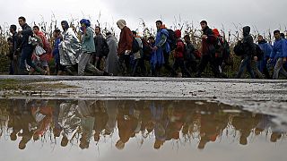 Croatia opens border with Serbia; migrants flood across the frontier