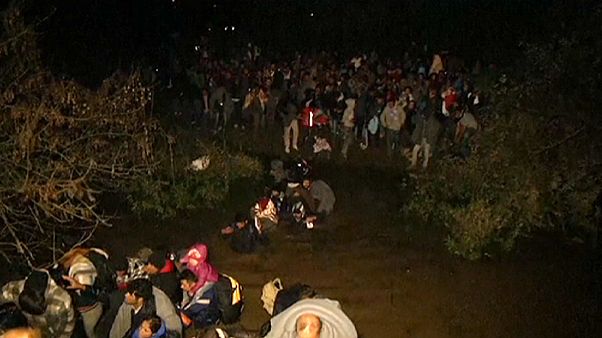 بحران پناهجویان؛ ارتش اسلوونی برای اداره مرزها به کمک پلیس این کشور آمد بحران پناهجویان؛ ارتش اسلوونی برای اداره مرزها به کمک پلیس این کشور آمد