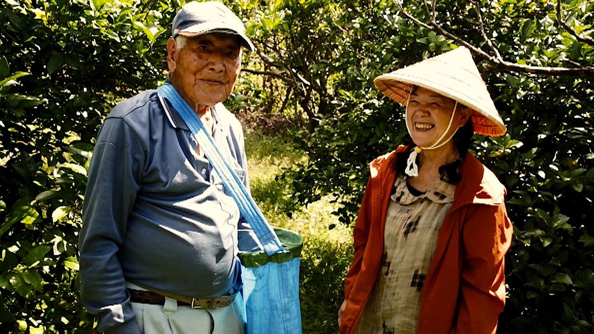 Keeping alive Okinawa’s  tasty secrets of longevity