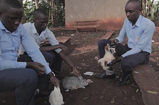 Education projects in Egypt and Uganda win 2015 Wise Awards