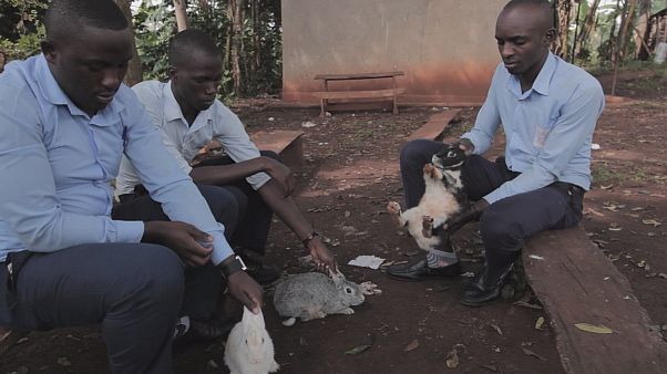 WISE Awards 2015 : Nafham en Egypte et Educate! en Ouganda WISE Awards 2015 : Nafham en Egypte et Educate! en Ouganda