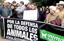 هشت ماه زندان مجازات سوارکار اسپانیایی که اسبش را کتک زده بود