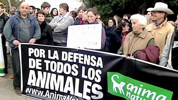 El hombre que mató a palos a su caballo pasará 8 meses en prisión El hombre que mató a palos a su caballo pasará 8 meses en prisión