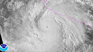 Meksika'da 'en şiddetli kasırga' alarmı