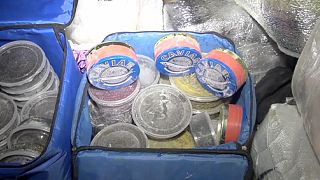 Russische Polizei entdeckt eine halbe Tonne Kaviar in Leichenwagen