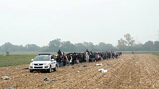 La Slovénie débordée par l'afflux des migrants