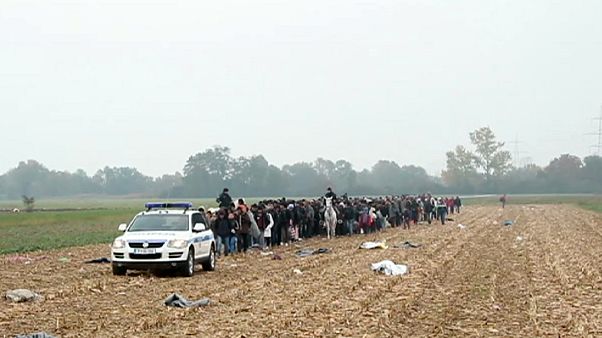 Vonatokkal utaztatja tovább Szlovénia a menekülteket Vonatokkal utaztatja tovább Szlovénia a menekülteket