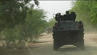 Nigerian military 'frees 338 hostages' from Boko Haram camps