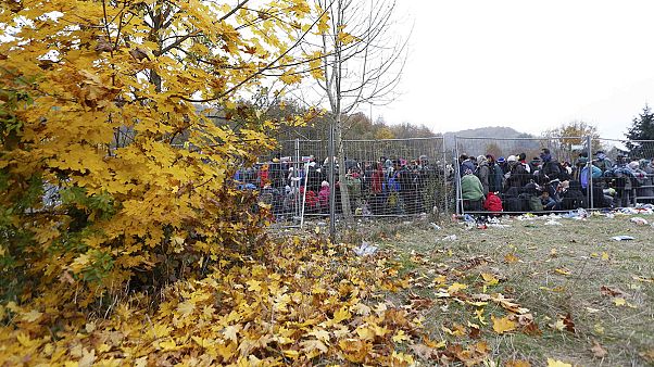 Eslovénia: primeiro-ministro afirma estar disposto a agir para controlar fluxo de refugiados Eslovénia: primeiro-ministro afirma estar disposto a agir para controlar fluxo de refugiados