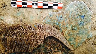 Ancient warrior's tomb, treasure hoard found in Greece