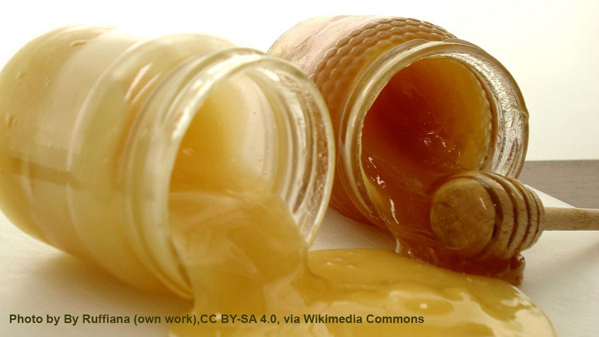 Βρυξέλλες: Την απαγόρευση της εισαγωγής κινεζικού μελιού ζητούν Ευρωπαίοι μελισσουργοί