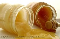 Miele cinese, gli apicoltori ungheresi e sloveni chiedono divieto di vendita in Ue