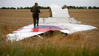 Image: An armed pro-Russian separatist stands on part of the wreckage of MH