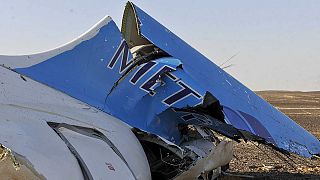 Sinai plane crash: black boxes found