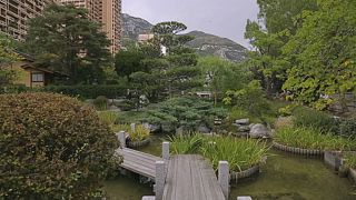 Monaco'nun dünyaca meşhur 'egzotik' bahçeleri
