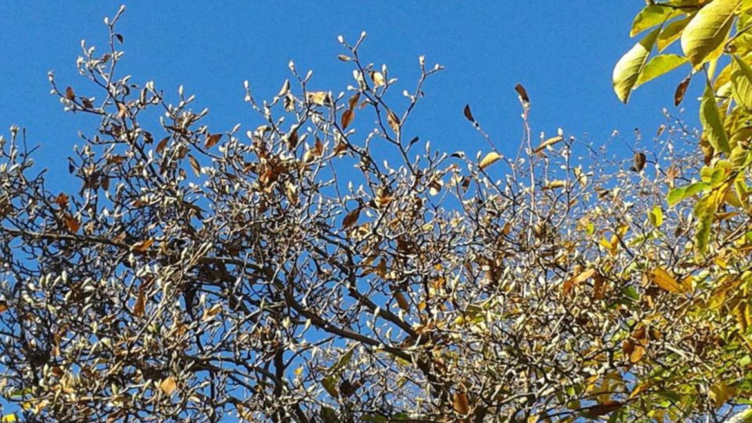 22 Grad im November