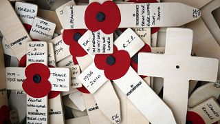 راز نصب گل قرمز بر سینه سیاستمداران بریتانیایی و کانادایی در ماه نوامبر