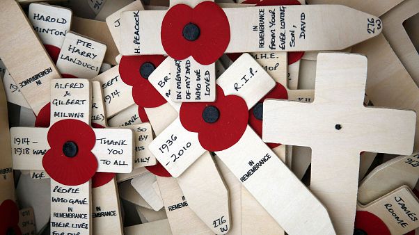 Le 11 novembre, c'est Poppy Day ! Le 11 novembre, c'est Poppy Day !