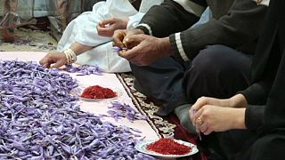 Iran's just mad about saffron...and is looking to make it a major earner