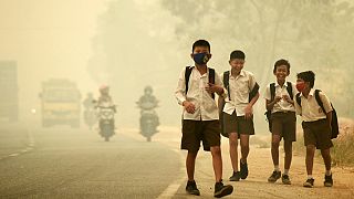 Hollande y Obama vuelven a insistir en la importancia de la Cumbre del Clima de París