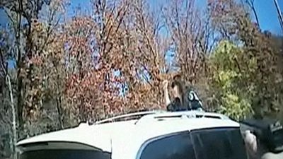Police camera captures dramatic stolen-car crash