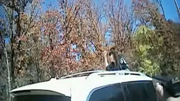 كاميرا الشرطة تلتقط صورا مثيرة لحادث سيارة مسروقة كاميرا الشرطة تلتقط صورا مثيرة لحادث سيارة مسروقة