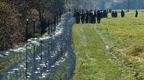 Slovenya sınırlarına dikenli tel çekiyor Slovenya sınırlarına dikenli tel çekiyor