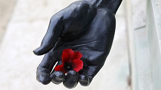 Millions fall silent to mark Armistice Day